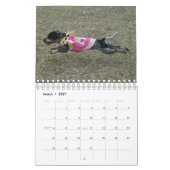Stormi 2012年 カレンダー (3月 2027)
