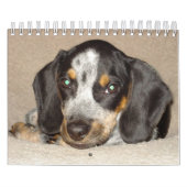 Stormi 2012年 カレンダー (カバー)