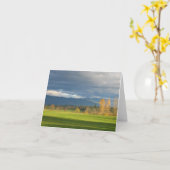 StormLit草原 カード (黄色い花)