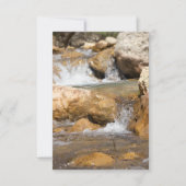 Stormyストリームの春 (正面)