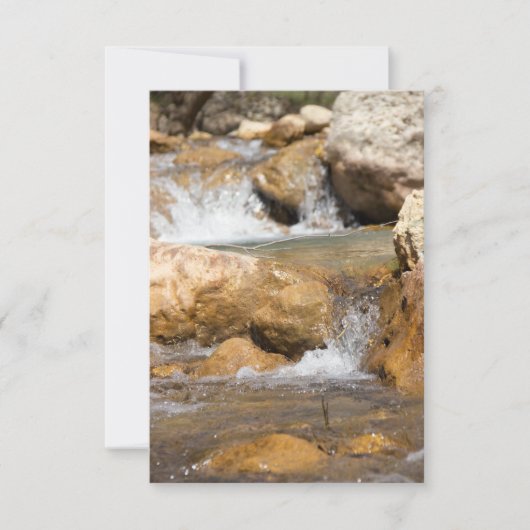 Stormyストリームの春 (正面)