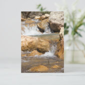 Stormyストリームの春 (スタンド正面)