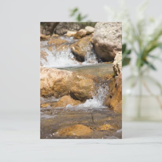 Stormyストリームの春 (スタンド正面)