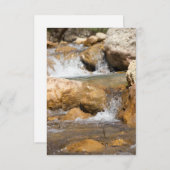 Stormyストリームの春 (正面/裏面)