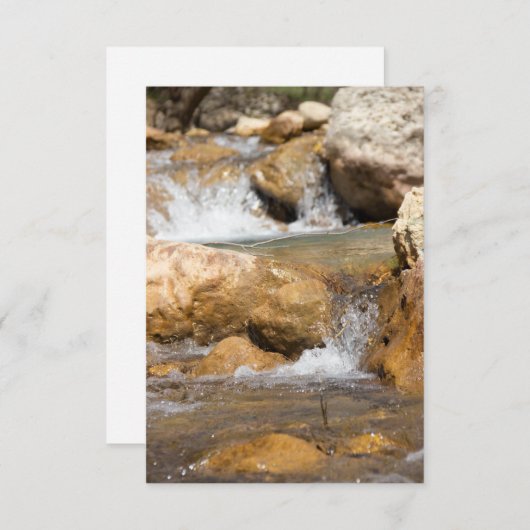 Stormyストリームの春 (正面/裏面)