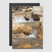 Stormyストリームの春 (正面/裏面)