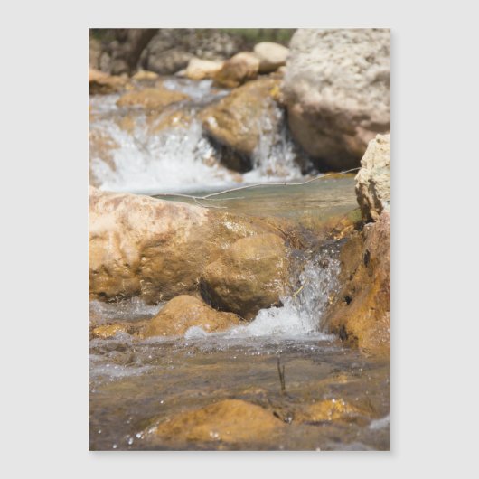 Stormyストリームの春 (正面)