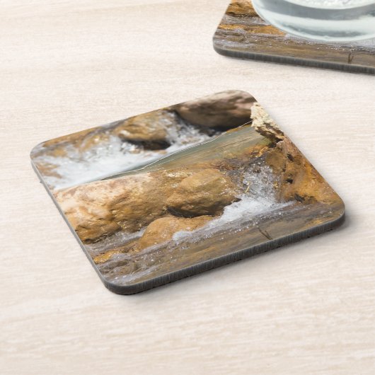 Stormyストリームの春 コースター (左側)