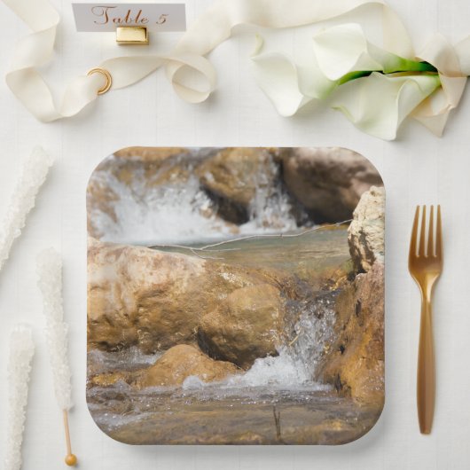 Stormyストリームの春 ペーパープレート (ウェディング)