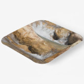 Stormyストリームの春 ペーパープレート (傾斜あり)