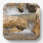 Stormyストリームの春 ペーパープレート (正面)