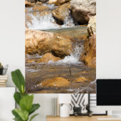 Stormyストリームの春 ポスター (ホームオフィス)