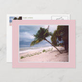 Stormy Sky,ビーチ，ヤシの木，ネグリル，ジャマイカ 案内ポストカード (正面/裏面)