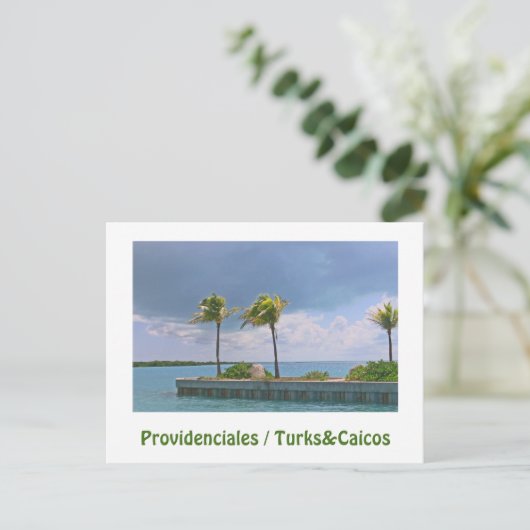 STORMY SKY/ 3つのヤシの木/プロビデンシアレス/タークス&カイ ポストカード (スタンド正面)