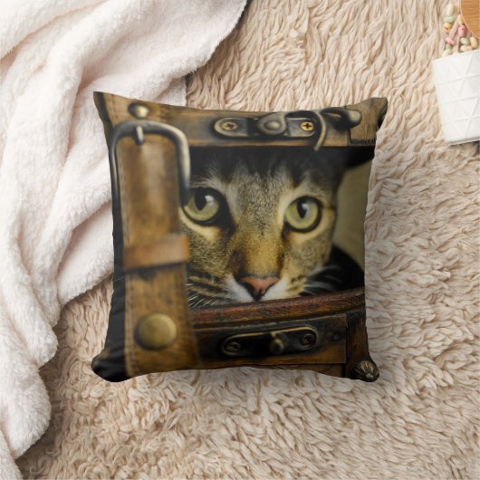 stowaway クッション (ブランケット)