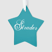 "Strader"スターオーナメント オーナメント (正面)