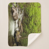 Straight Fork Flows Through Forest シェルパブランケット (正面)