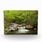 Straight Fork Flows Through Forest フォトブロック (正面)