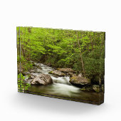Straight Fork Flows Through Forest フォトブロック (右)