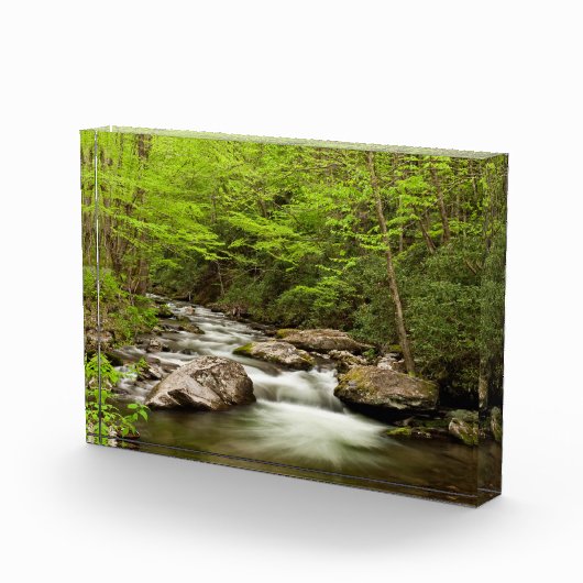 Straight Fork Flows Through Forest フォトブロック (右)