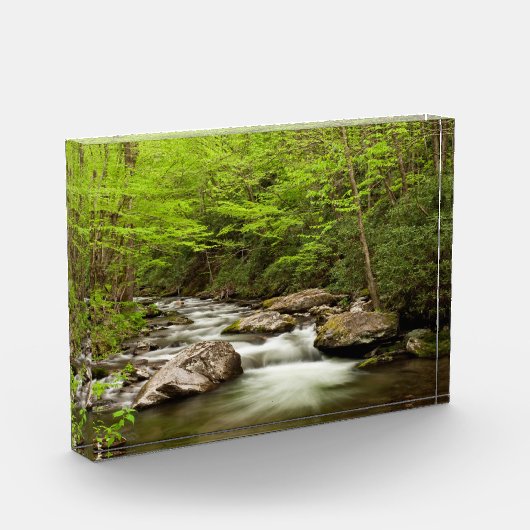 Straight Fork Flows Through Forest フォトブロック (左)