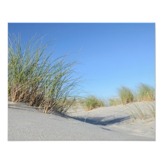 Strand フォトプリント (正面)