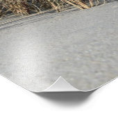 Strand フォトプリント (角)