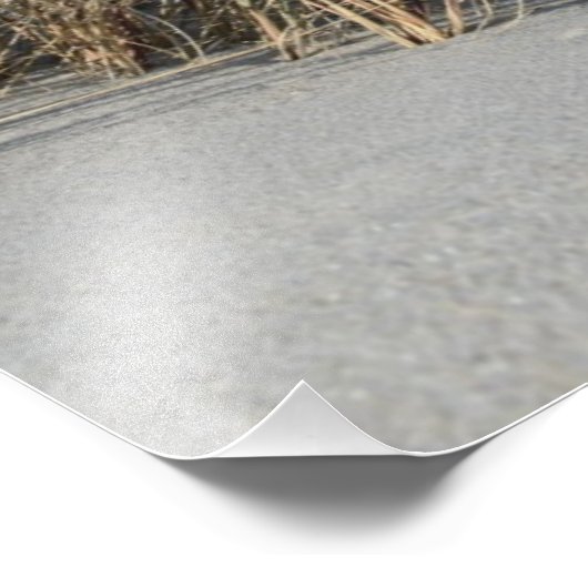 Strand フォトプリント (角)