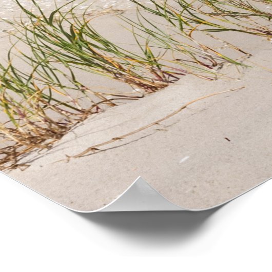 Strandkorb 337 ポスター (角)