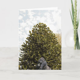 Strange enough to puzzle a monkey. カード