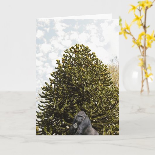 Strange enough to puzzle a monkey. カード (黄色い花)