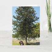 Strange enough to puzzle a monkey. カード (正面)