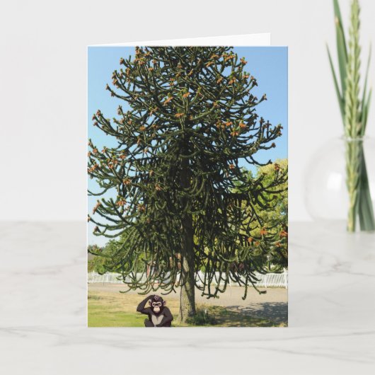 Strange enough to puzzle a monkey. カード (正面)