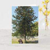 Strange enough to puzzle a monkey. カード (黄色い花)