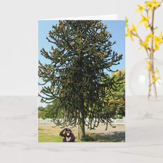 Strange enough to puzzle a monkey. カード (黄色い花)