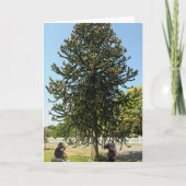 Strange enough to puzzle a monkey. カード (正面)