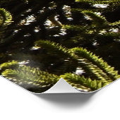 Strange enough to puzzle a monkey. ポスター (コーナー)