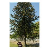 Strange enough to puzzle a monkey. ポスター (正面)