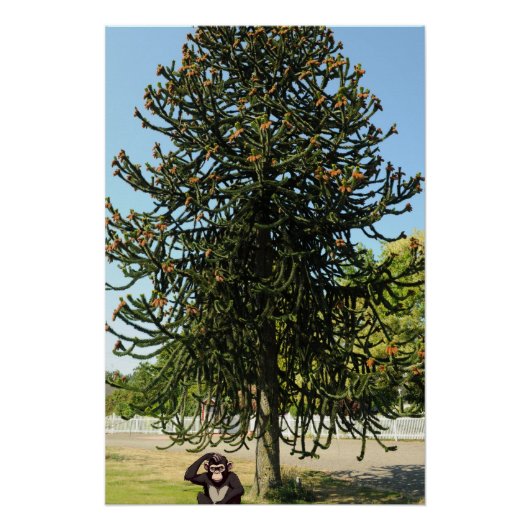 Strange enough to puzzle a monkey. ポスター (正面)