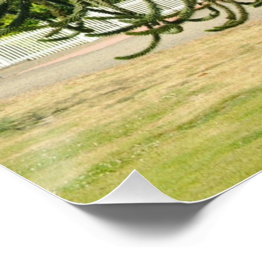 Strange enough to puzzle a monkey. ポスター (コーナー)