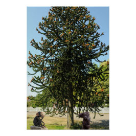 Strange enough to puzzle a monkey. ポスター