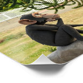 Strange enough to puzzle a monkey. ポスター (コーナー)