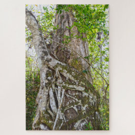 Strangler Fig, Big Cypress National Preserve, FL ジグソーパズル
