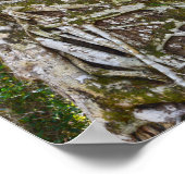 Strangler Fig, Big Cypress National Preserve, FL ポスター (角)