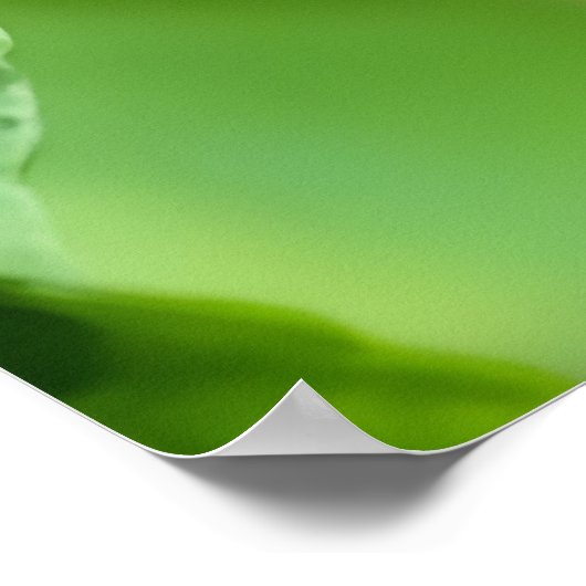 Strawberry Finch  ポスター (角)