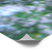 Strawberry Grouper ポスター (角)