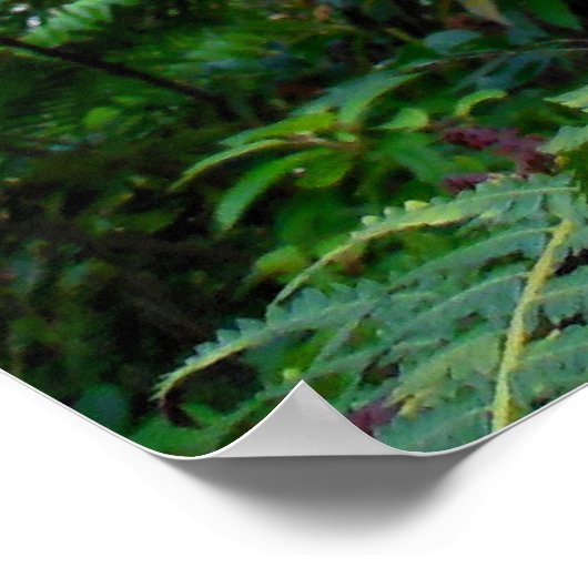 Strawberry Guava Trees ポスター (角)