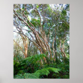 Strawberry Guava Trees ポスター (正面)