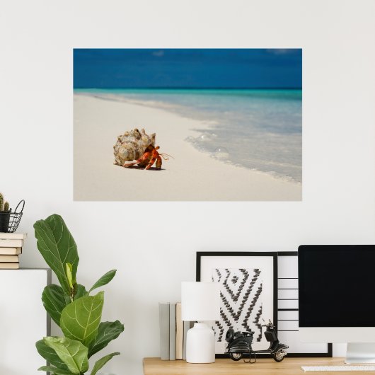 Strawberry Hermit Crab | Coenobita Perlatus ポスター (ホームオフィス)
