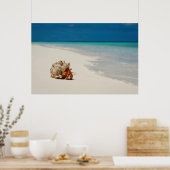 Strawberry Hermit Crab | Coenobita Perlatus ポスター (キッチン)